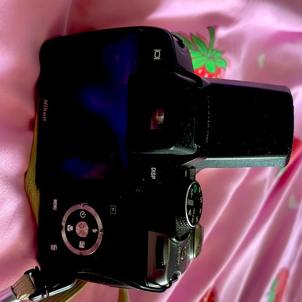 Nikon COOLPIX P80